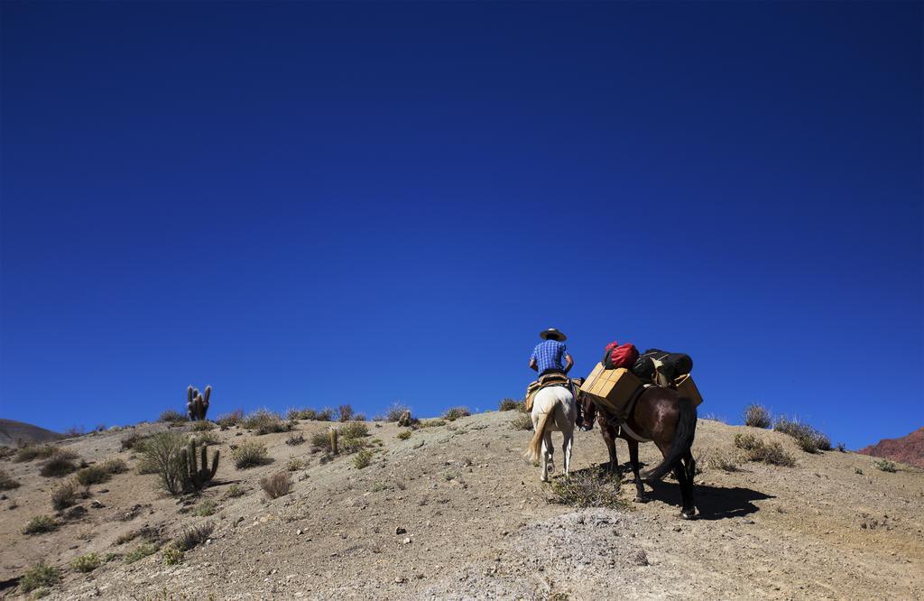Willa Hacienda Los Andes Hurtado Zewnętrze zdjęcie