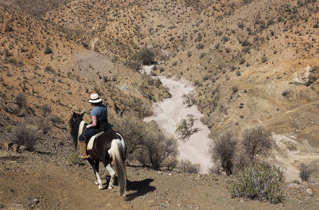 Willa Hacienda Los Andes Hurtado Zewnętrze zdjęcie